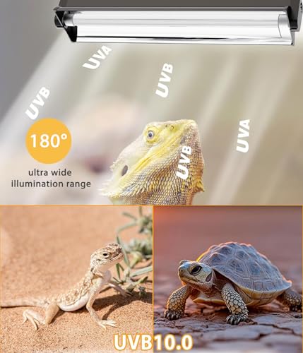 T5 UVB Reptile Light Fixture Combo Kit - 12 Inch 8W Terrarium Hood 10.0 UVA UVB Bulb with High-Efficiency Reflector for Desert Reptiles & Amphibians (Bearded Dragons, Turtles, Tortoises) - size: 8W T5 Suite