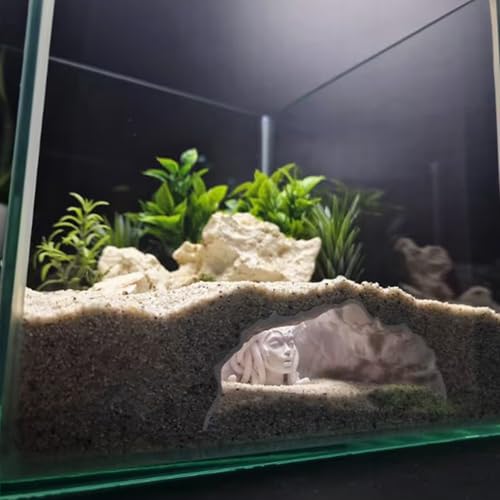 Aquarium Cave, Easy to Clean, 18x6.8x6.8cm, Betta Habitat, Aquarium Underground Tunnel, Safe Material, for Corydora, Catfish, Clown Loach, Guppy, Small Cichlid, Reptiles, Turtles & Terrariums