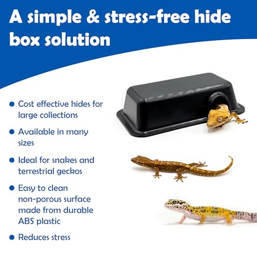 Pangea Reptile Hide Box, A - Mini 5.5"x3"x1.5" | Fits Most Standard Rack Units, Usable as Snake Tank Accessories, Good for Ball Python, Boas, Leopard Geckos, Kingsnake - size: A- Mini