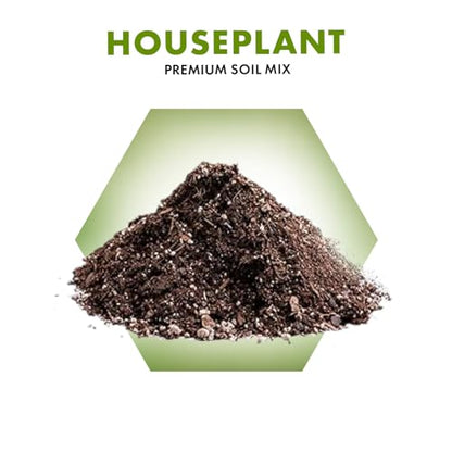 Agralife Houseplant Soil 4 Quarts Premium Organic Mix for Indoor Plants | Balanced moisture. Healthy growth. Premium organic soil supports monstera, pothos, snake plants, and more. - style: House Plant Soil Mix