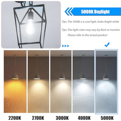 winsaLED 5000K Daylight LED Edison Bulbs 40W Equivalent, Non-Dim, 12 Pack | 4W ST19 LED Light bulb, E26 Standard Base, 90 CRI, 450LM - color: 5000k-daylight