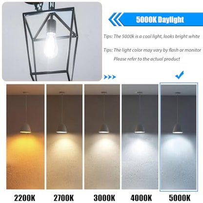 winsaLED 5000K Daylight LED Edison Bulbs 40W Equivalent, Non-Dim, 12 Pack | 4W ST19 LED Light bulb, E26 Standard Base, 90 CRI, 450LM - color: 5000k-daylight
