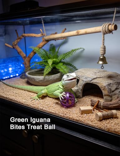 10-Pack Bearded Dragon Toy Balls, Non-Toxic, Bell Enrichment | BPA-free, Smooth Edges, Substrate Compatibility