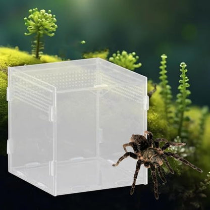 Reptile Breeding Box Terrarium Professional Clear Animal Habitat Cage with Ventilation Holes for Geckos Frogs Hermit Crabs- 10x10x10cm