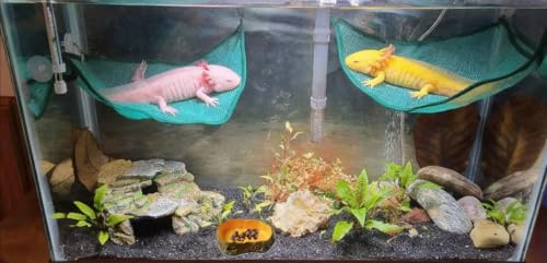 8 pcs Axolotl Hammock with Feeding Dish Floating Ball Axolotl Net for Aquarium Axolotl Enrichment Toys Reptile Triangle Hammocks Lounger Ladder Breathable Mesh Bearded Dragon Tank Accessories Green M