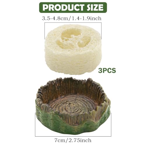 Cockroach Water Basin & 3 Loofah Set, Dubia Roaches Live Habitat Reptile Container Supplies for Terrariums & Enclosures, Comfortable Habitat for Roaches Live, Isopods, Springtails, Crickets - size: 3Pcs