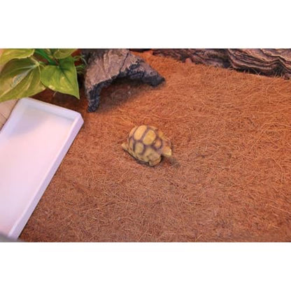 BESTonZON 2 Pcs Natural Coconut Fiber Reptile Bedding Mat Protects Reptile Limbs No Deformation Sturdy Coconut Material Pet Box and Microlandschaft Landscaping