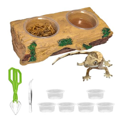 Tfwadmx Magnetic Reptile Feeder Ledge, Gecko Feeder Ledge with 6 Cups Reptile Feeding Bowls Food Dish Water Bowl Tank Accessories for Lizards Chameleons Frog - color: Yellow