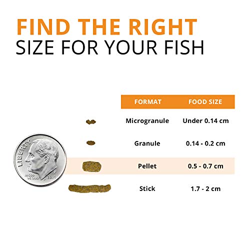 Fluval Bug Bites Goldfish Fish Food, Pellets for Medium to Large Sized Fish, 3.53 oz, A6584 | Pellets for Medium to Large Sized Fish - size: 3.5 Ounce (Pack of 1)