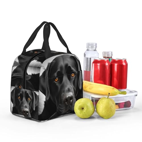 Insulated Lunch Bag Black Dog Lunch Box for Women Men Reusable Leakproof Lunch Cooler Bag for Office Picnic - color: Black Dog