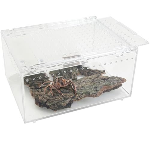 Reptile Terrarium Enclosure 8"x6"x4" Acrylic Tarantula Breeding Box Magnetic Hermit Crab Habitat Transparent Jumping Spider Cage for Insect Snail Amphibians Sling Isopods - size: S: Standard Version