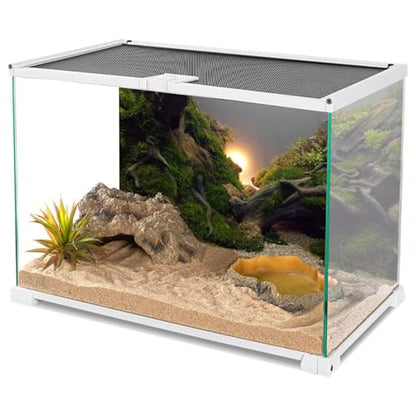 60x24 in River Bed Aquarium Backdrop Sunshine Aquatic Fish Tank Background | AWERT Moss Plants Aquarium Background Vinyl - size: 60x24in/150x60cm