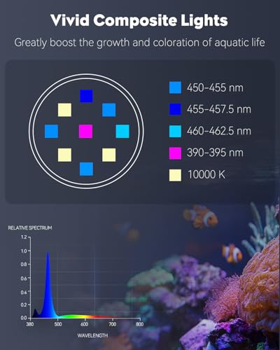 Pawfly 15 W LED Aquarium Light with Brilliant Blue White Red Lights for 1 to 10 Gallon Fish Tank - size: For 1 to 10 Gallon Fish Tank