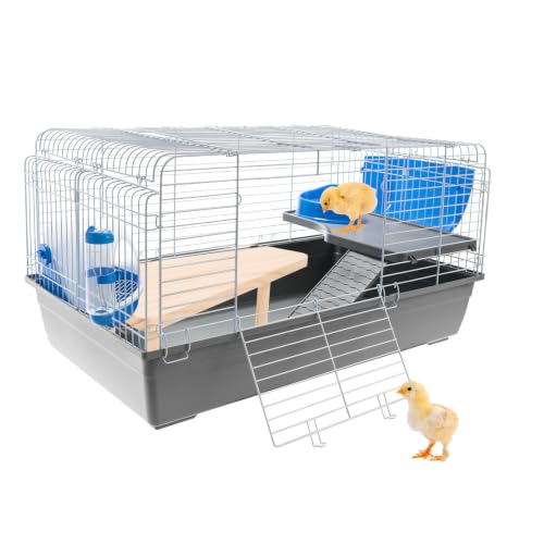 WOONEKY Wooden Small Pet Chick Platform for Chicken Breeding Box with Smooth Surface and Table Shape, Pet Accessory for Rutin Chick Playing and Reptile Box Decor