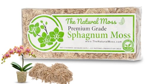 Premium Chilean Sphagnum Moss 5.3oz - Long Fiber Moss for Orchids, Terrariums, Reptiles & Plant Propagation – Natural Potting Moss for Indoor Plants, 6 QT