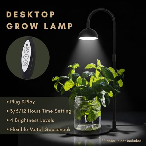 Desktop Grow Lamp Terrarium Light Plant Light on Table with Flexible Gooseneck Lamp for Terrarium Kitchen Vetegable Succulent Lamp with Auto Timer 3/6/12Hrs, 4 Brightness Levels (Black) - color: Black