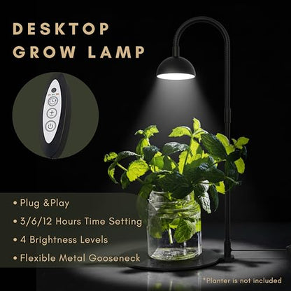 Desktop Grow Lamp Terrarium Light Plant Light on Table with Flexible Gooseneck Lamp for Terrarium Kitchen Vetegable Succulent Lamp with Auto Timer 3/6/12Hrs, 4 Brightness Levels (Black) - color: Black