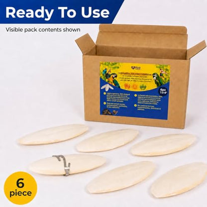 Birds LOVE 7.5-8" Cuttlebone for Birds – 100% Natural Sun-Dried Calcium Carbonate Mineral Supplement – for Parakeets, Budgies, Cockatiels, Finches & Canaries – 6 Pack with Holder – Made in Vietnam - size: 6 Count (Pack of 1)