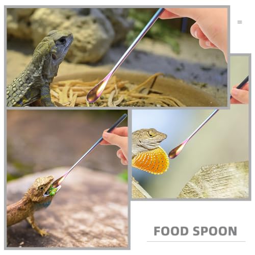 NOLITOY Pet Feeding Spoon Set Small Reptile Food Scoop Lizard Food Spoon Stainless Steel Easy to Lightweight for Tortoise Lizard Pack of 3 - color: As Shown 1