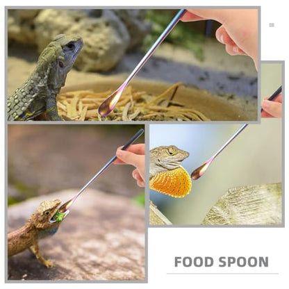 NOLITOY Pet Feeding Spoon Set Small Reptile Food Scoop Lizard Food Spoon Stainless Steel Easy to Lightweight for Tortoise Lizard Pack of 3 - color: As Shown 1