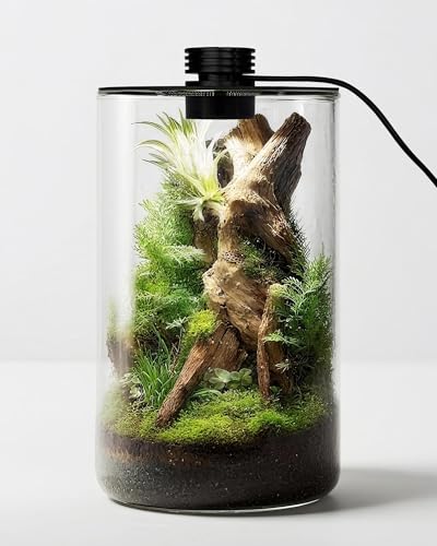 Desktop Glass Terrarium with Grow Light (9.8" H x 5.9" D) - for Succulents, Moss, Mini Gardens, Betta Fish Tanks, Mushroom Cultivation | Indoor Plant Growth | Office/Home Decor | Plant Lover Gifts - size: 9.8”