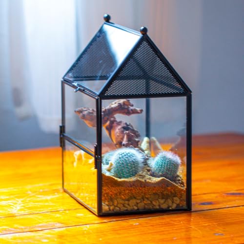 NCYP Glass Enclosure with Vent Holes for Small Insect, Jumping Spiders, Mantis - 7.5" x 4.9" x 9" Front Opening Door House Shape Vented Glass Terrarium, Home Decor Black (Terrarium Only) - size: 7.5" x 4.9" x 9"