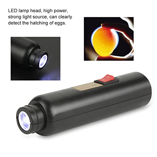 Egg Candler, LED Egg Hatching Test Light, High Intensity LED Chicken Egg Candler Mini Egg Tester Pen for Science Experiment Power by Battery & Power Supply
