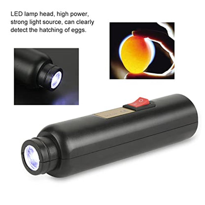 Egg Candler, LED Egg Hatching Test Light, High Intensity LED Chicken Egg Candler Mini Egg Tester Pen for Science Experiment Power by Battery & Power Supply