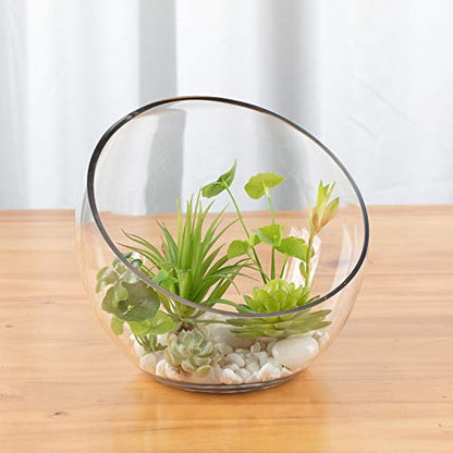 WGV Slant Cut Bowl Glass Vase, Width 9", Height 8.25", Clear Terrarium, Candy Dish, Fruit Jar, Floral Container for Wedding Party Event, Home Office Decor, 1 Piece - size: Slant Bowl 8"H