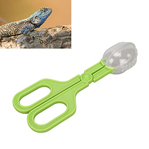 GLOGLOW Nan Reptile Feeding Clamp, ABS Poop Tongs Cleaning Tool for Tortoise Lizard Spider, Perfect for Clean Up in Aquariums and Terrariums Crawler Breeding Tools, Reptile Hatching (Green) - color: Green