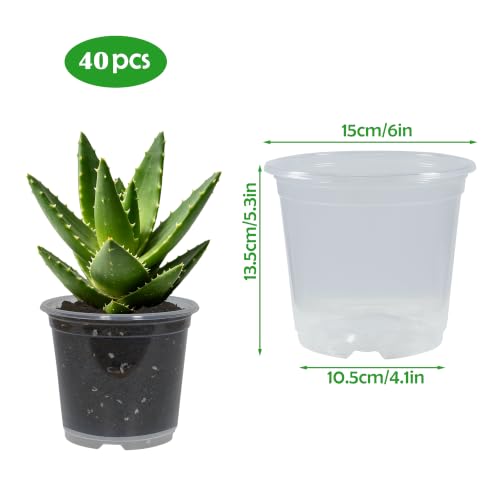 40 Pack 6 Inch Clear Nursery Pots with Drainage Plant Pots for Plants Transparent Potting Containers for Plants Seeding Starter Pot (Clear, 6 Inch 40 Pcs) - size: Clear, 6 Inch 40 Pcs