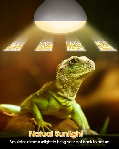Reptile Heat Lamp Bulbs-100W UVA Natural Daylight Heating Lamp Basking Bulb | for Bearded Dragon, Basking Spot Floodlight Light for Reptiles, Lizard, Turtle, Snake Bathroom, Plants,Chickens Pets, 2 Pack - color: Daylight