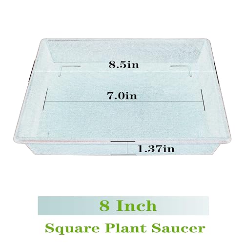 Square Plant Saucer 8 Inch 2 Pack 6 8 10 12 14 16 18 20 Inch, Plant Trays for Pots Heavy Duty Plastic Plant Saucers for Indoors Outdoors, Flower Pot No Holes Plant Drip Trays - color: Black, size: 8"-2Pack