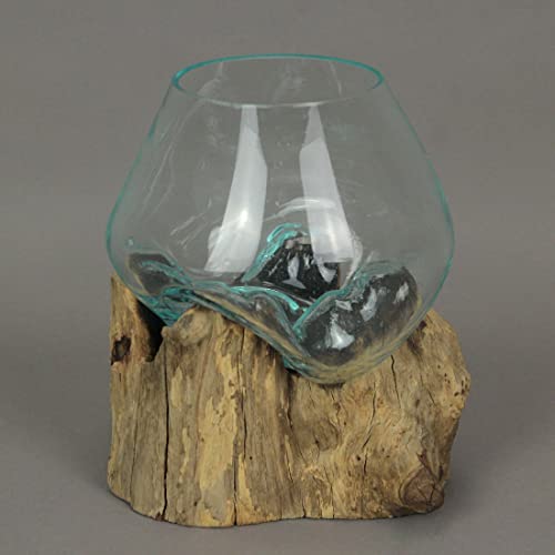 Molten Glass Vase on Teak Driftwood, 7.5 Inch | Clear Hand-Formed Bowl, Natural Wood Base, For Succulents, Air Plants, Herbs or Desktop Terrariums