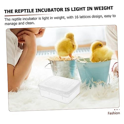 Angoily Plastic Reptile Egg Incubator with Transparent Hatchery Box for Hatching Gecko and Lizard Eggs for Snakes and Turtles Professional Incubation