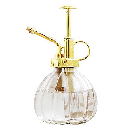 Plant Mister, 6.5" Tall Decorative Glass Water Spray Bottle with Gold Top Pump Small Watering Can by Ebristar - Clear - color: Clear+Gold N