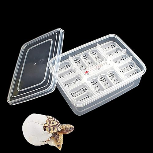 Reptile Egg Incubator Box Incubation Box Hatching Case Hatching Tray | 16 Grids Transparent Reptile Incubator for Snake Lizard Turtle Gecko Chameleon Bearded Dragon Leopard Gecko Egg Incubation - color: B