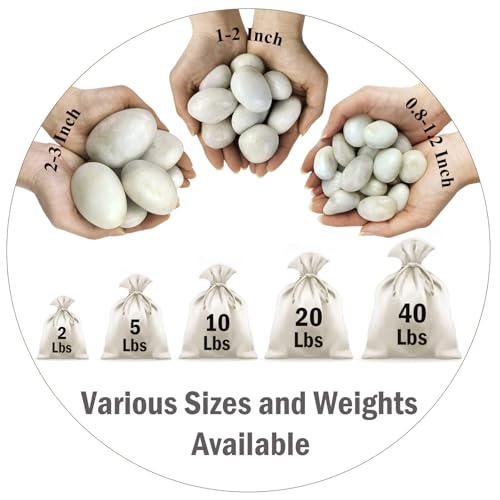 FANTIAN 10 lbs White River Rocks, 1-2 Inch Polished Pebbles for Indoor Plants, Decorative White Stones for Plants, Vase, Aquarium, Fish Tank, Landscaping and Garden - size: 1-2 Inch, style: 10 Pounds