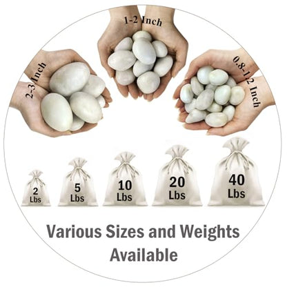 FANTIAN 10 lbs White River Rocks, 1-2 Inch Polished Pebbles for Indoor Plants, Decorative White Stones for Plants, Vase, Aquarium, Fish Tank, Landscaping and Garden - size: 1-2 Inch, style: 10 Pounds