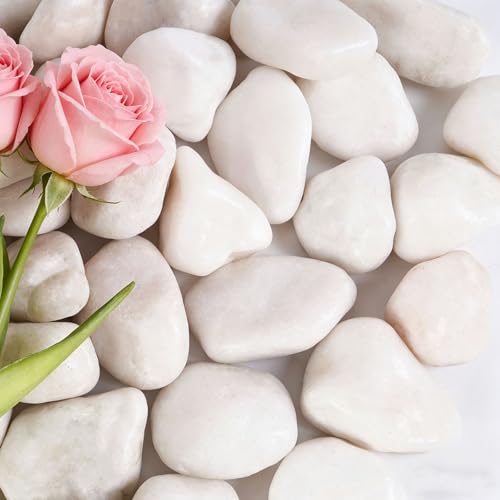 20 lbs White River Rocks, 1-2 inch White Landscaping Rocks,Suitable for Indoor and Outdoor Landscape Design, Gardens, Courtyards, Fish Tank Aquariums, Vases, Trail Decoration and DIY Decoration - color: White, size: 1-2 Inch 20 LB