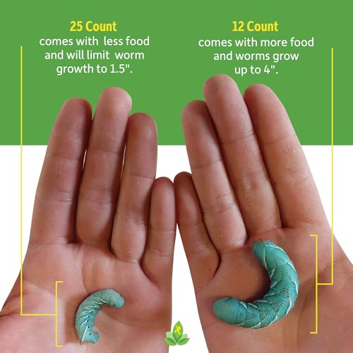 Josh's Frogs Hornworms Habitat Cup (12 Count Cup) - size: 12 Count (Pack of 1)
