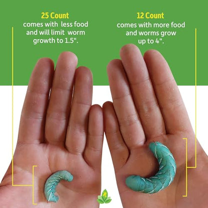 Josh's Frogs Hornworms Habitat Cup (25 Count Cup) - size: 25 Count (Pack of 1)