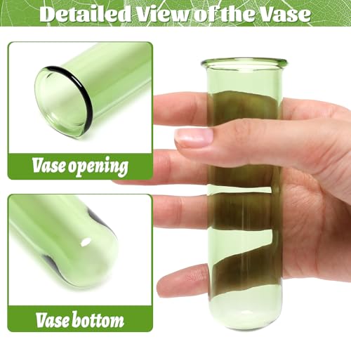 Glass Plant Propagation Station with 5 Test Tubes Colorful Planter Vase | Birthday Gifts for Women in Wooden Stand - color: Green