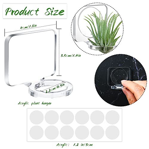 Jetec 12 Pcs Acrylic Air Plants Holder Hanger Air Plant Live Holders with Mounting Tape for Hanging Plants Glass Display Home Office Decoration