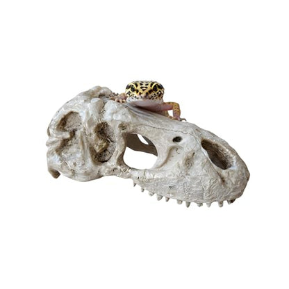 T-Rex Skull, Dinosaur Aquarium Decor & Reptile Terrarium Ornament | Large resin dinosaur fossil replica for fish tanks and reptile enclosures; Jurassic decor for gecko and lizard habitats