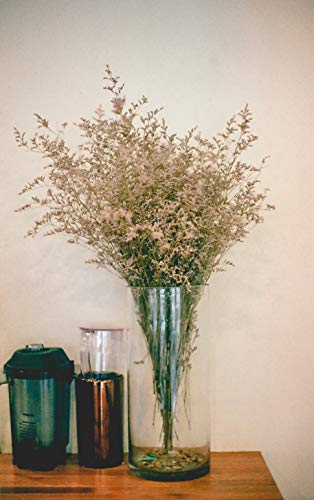 WGV Cylinder Vase, Width 6", Height 14", Clear Glass Container Terrarium Candle Holder for Wedding Centerpiece, Party Event, Home Office Decor, 1 Piece - size: 6"x14"H