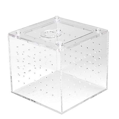 Reptile Breeding Box Acrylic Terrarium Transparent Durable Enclosure with Ventilation Holes Feeding Hole Safety Lock Cover for Snakes Spiders Lizards Insects Small Pets 10x10x9cm