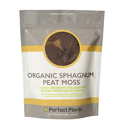 Perfect Plants Organic Sphagnum Peat Moss, 4 qt, Soil Additive | 100% pure with no fillers, holds water and nutrients like a sponge, loosens potting media so roots grow freely - size: 4qts.