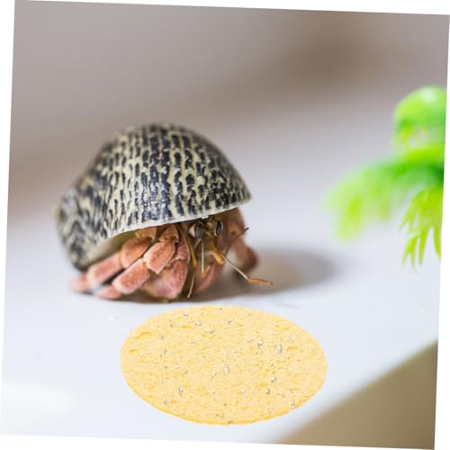 20pcs Humidity Maintaining Crab Tank Sponges Unbleached Sea Sponge for Water Dish Durable Moisture Retention Promoting Healthy Growth Pet Crab Habitats