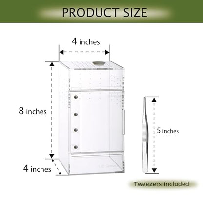 Acrylic Terrarium for Reptiles & Spiders – Small/Medium/Large Leak-Proof Enclosure (Horizontal/Vertical) | Ideal for Tarantulas, Jumping Spiders, Frogs & Geckos(Small, Vertical) - size: Small